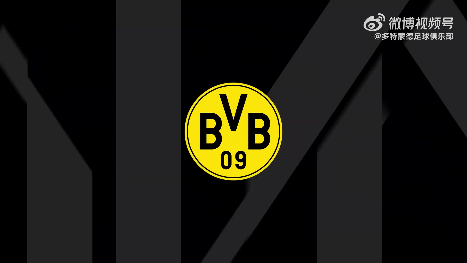 樊振东与波尔到访多特+踢球🤣樊振东调侃：尽力了但踢得不咋地